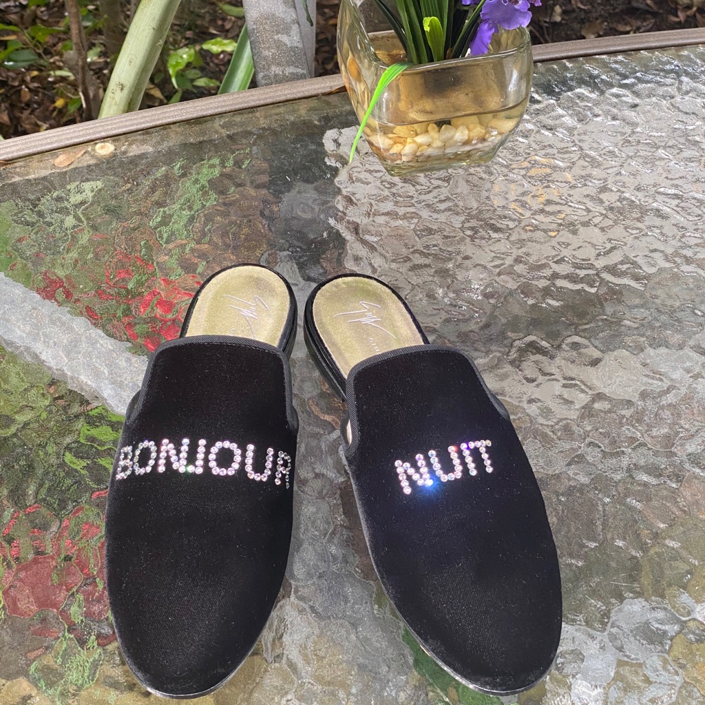 Giuseppe Zanotti Black Velvet "Bonjour Nuit” Mules